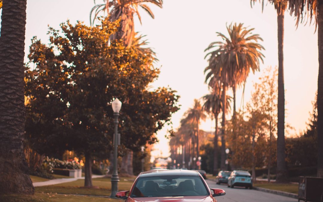 A red BMW parked on a palm tree-lined street at sunset, ready for its local smog check.